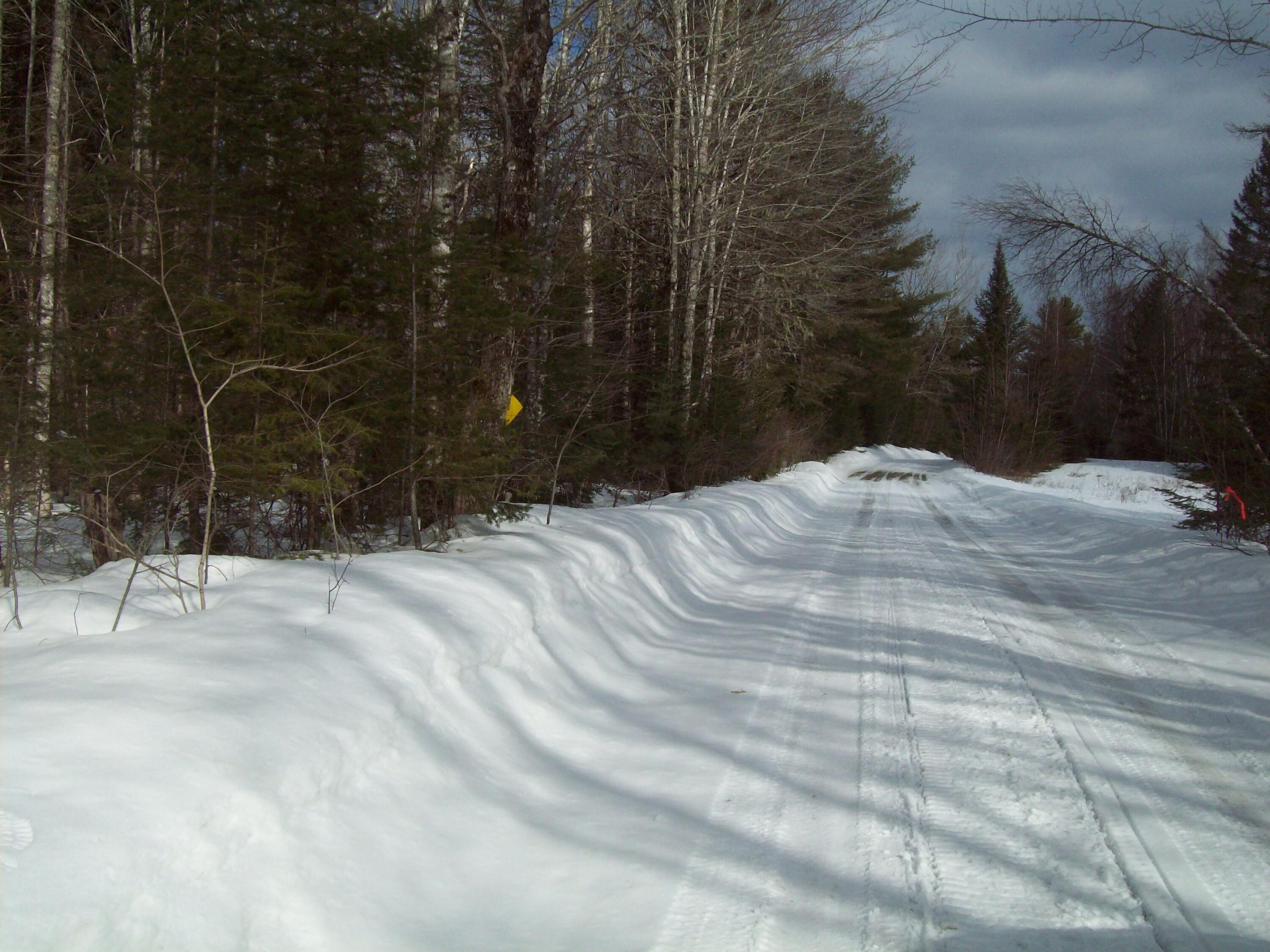 580 Town Line Road Springfield, ME 04487 - Photo 21 of 21 100_2524