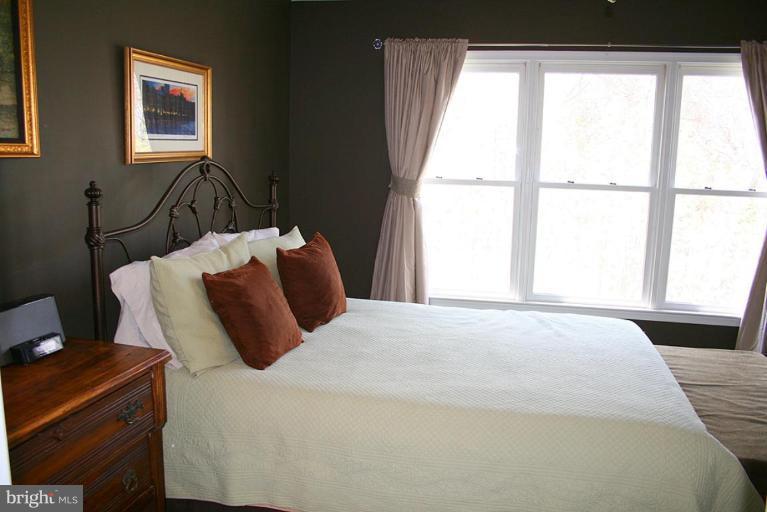 101 Ridgepoint Place Gaithersburg, MD 20878 - Photo 6 of 30 Master Bedroom #3
