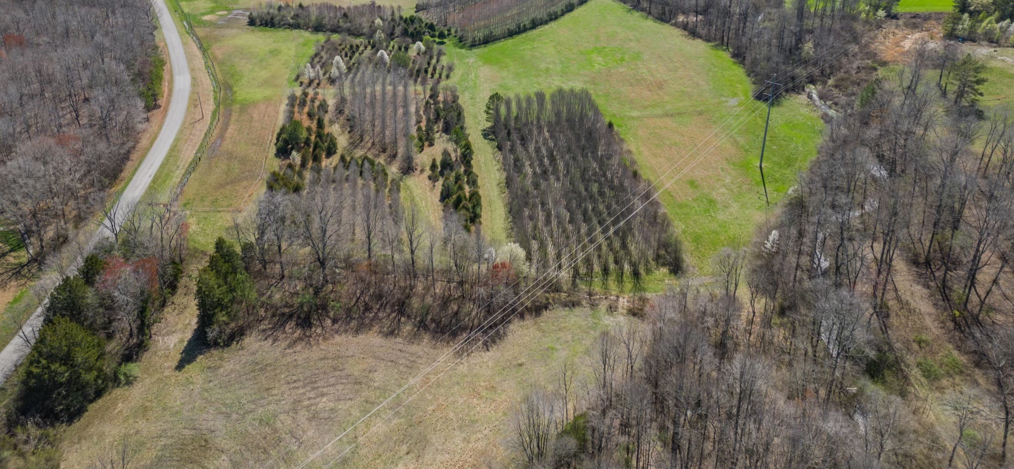 0 Will Hickerson Road Tullahoma, TN 37388 - Photo 5 of 13 Gallery Image 5