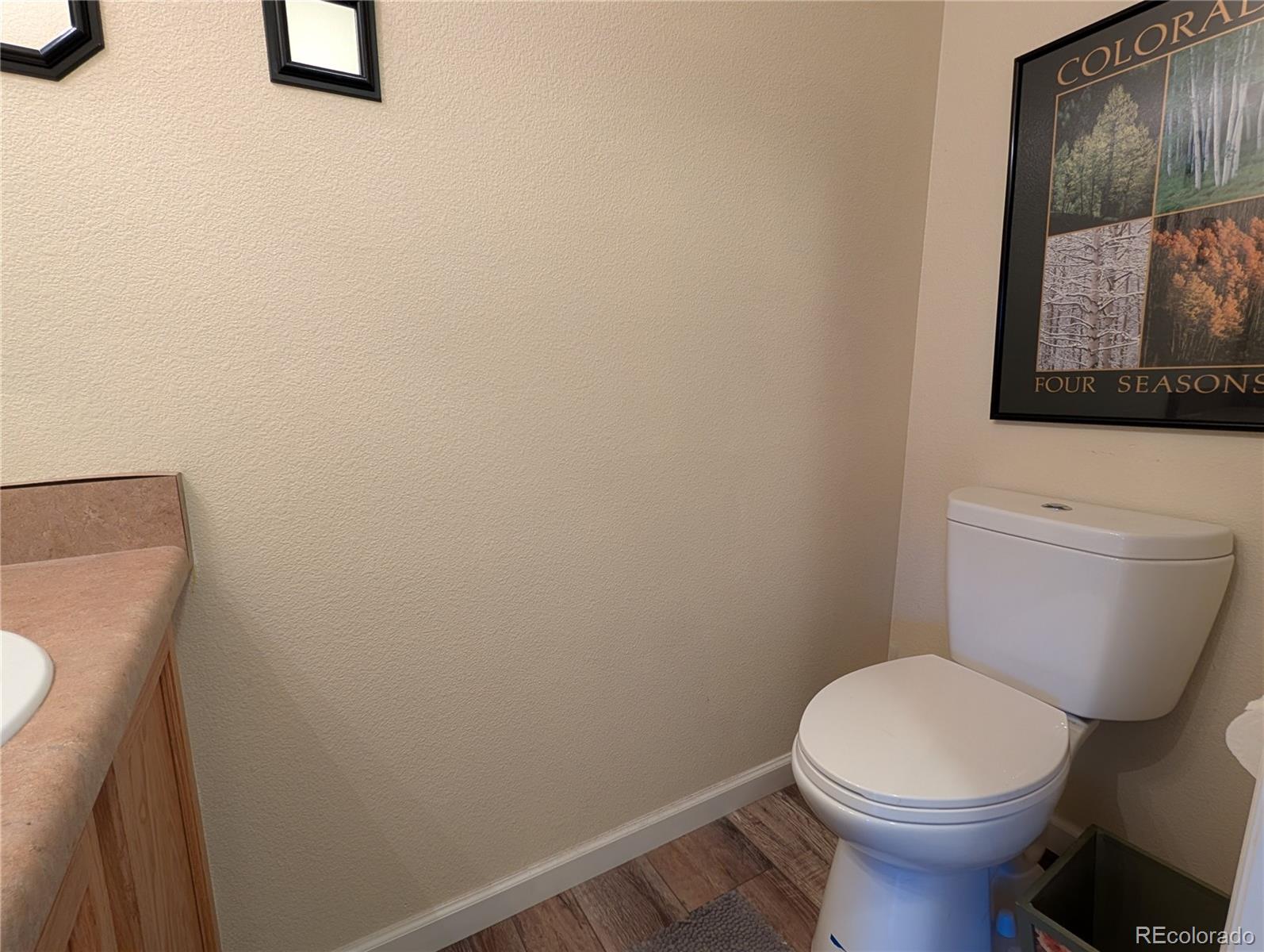10360 Tracewood Court Highlands Ranch, CO 80130 - Photo 10 of 28