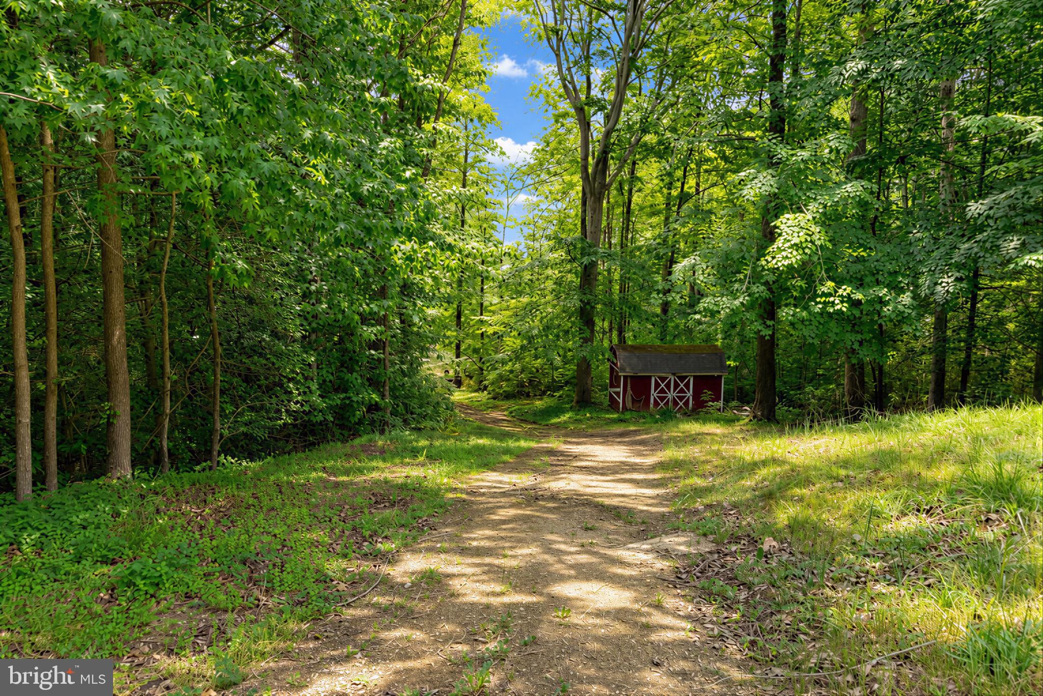 39655 Persimmon Creek Road Mechanicsville, MD 20659 - Photo 30 of 35 Enjoy Exploring the 15.42 acres!
