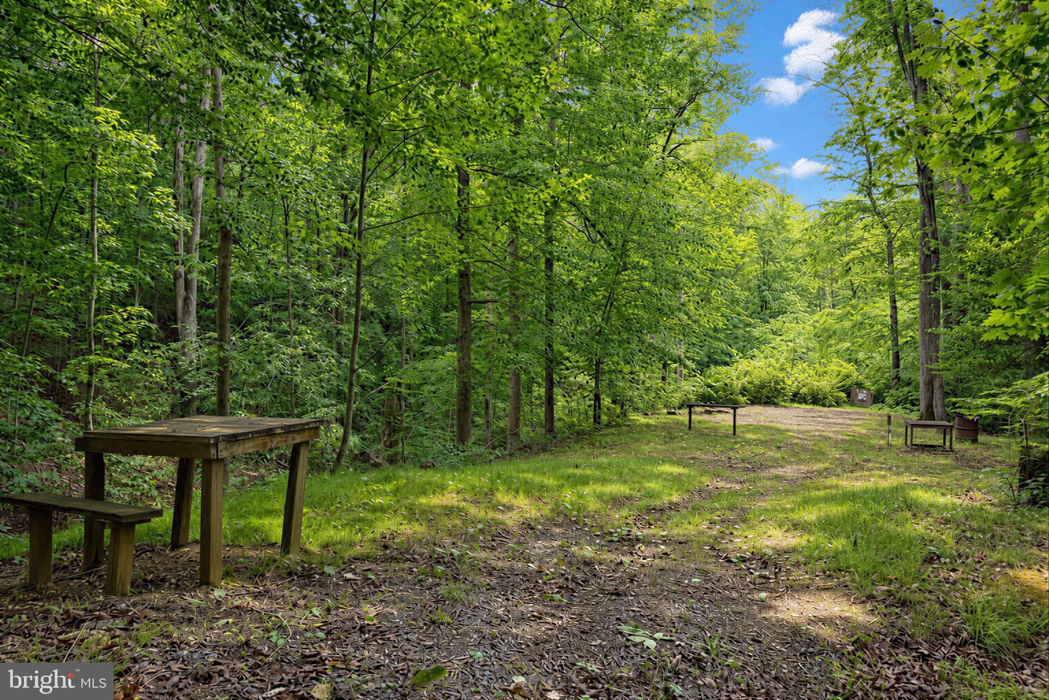 39655 Persimmon Creek Road Mechanicsville, MD 20659 - Photo 32 of 35