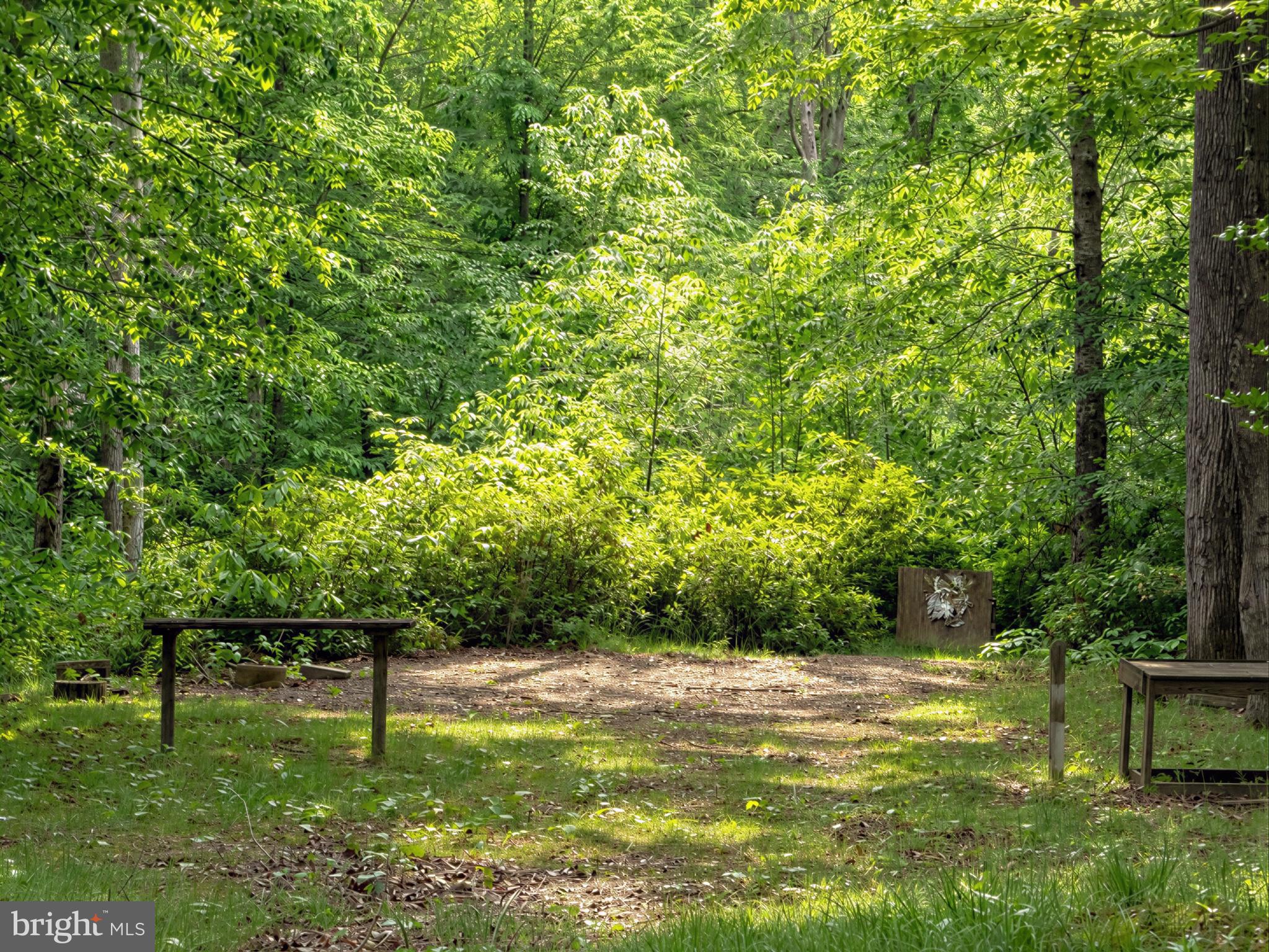39655 Persimmon Creek Road Mechanicsville, MD 20659 - Photo 33 of 35
