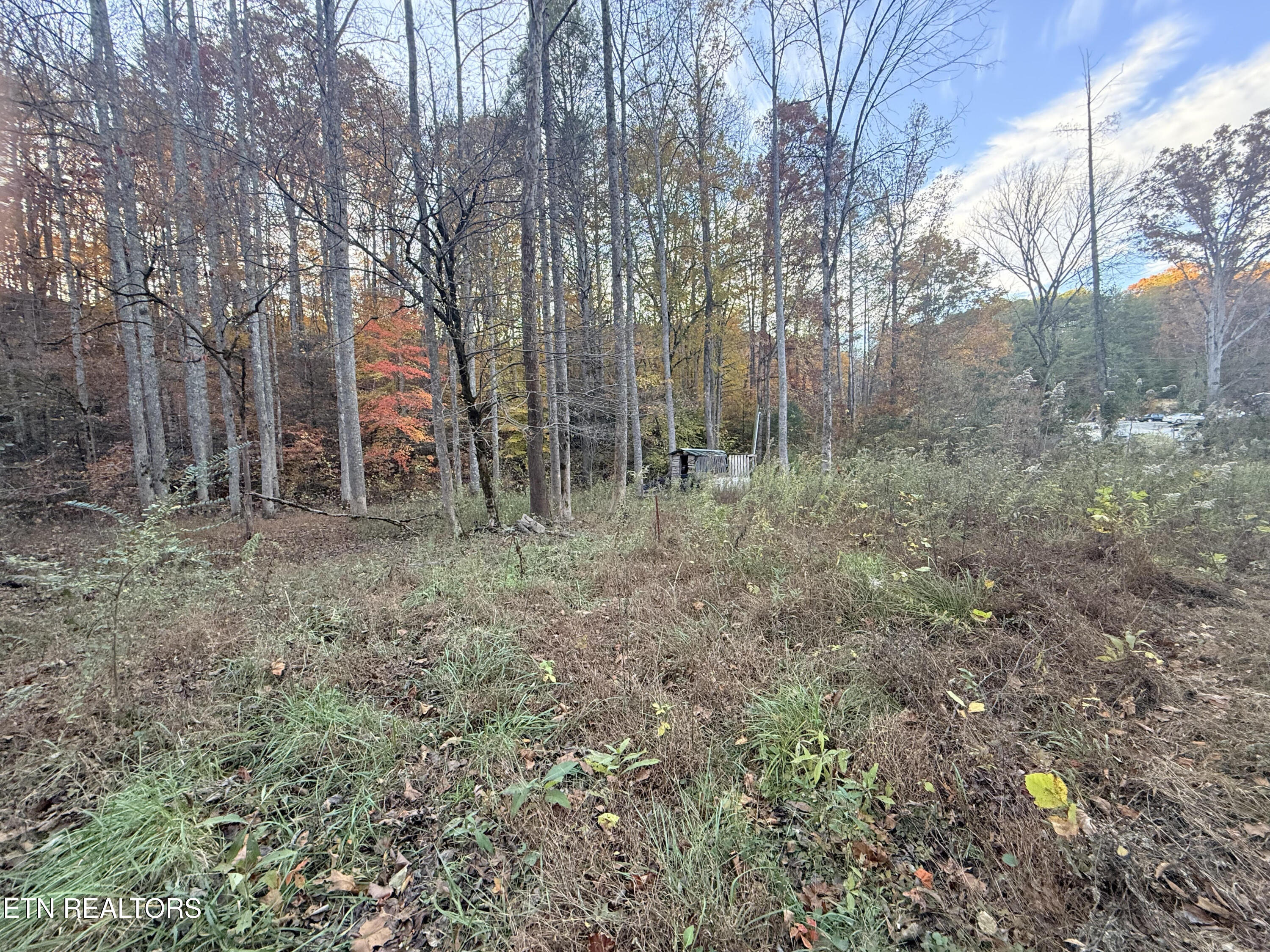 Lot 42-43 Deerfoot Road Cosby, TN 37722 - Photo 3 of 7 unnamed (3)