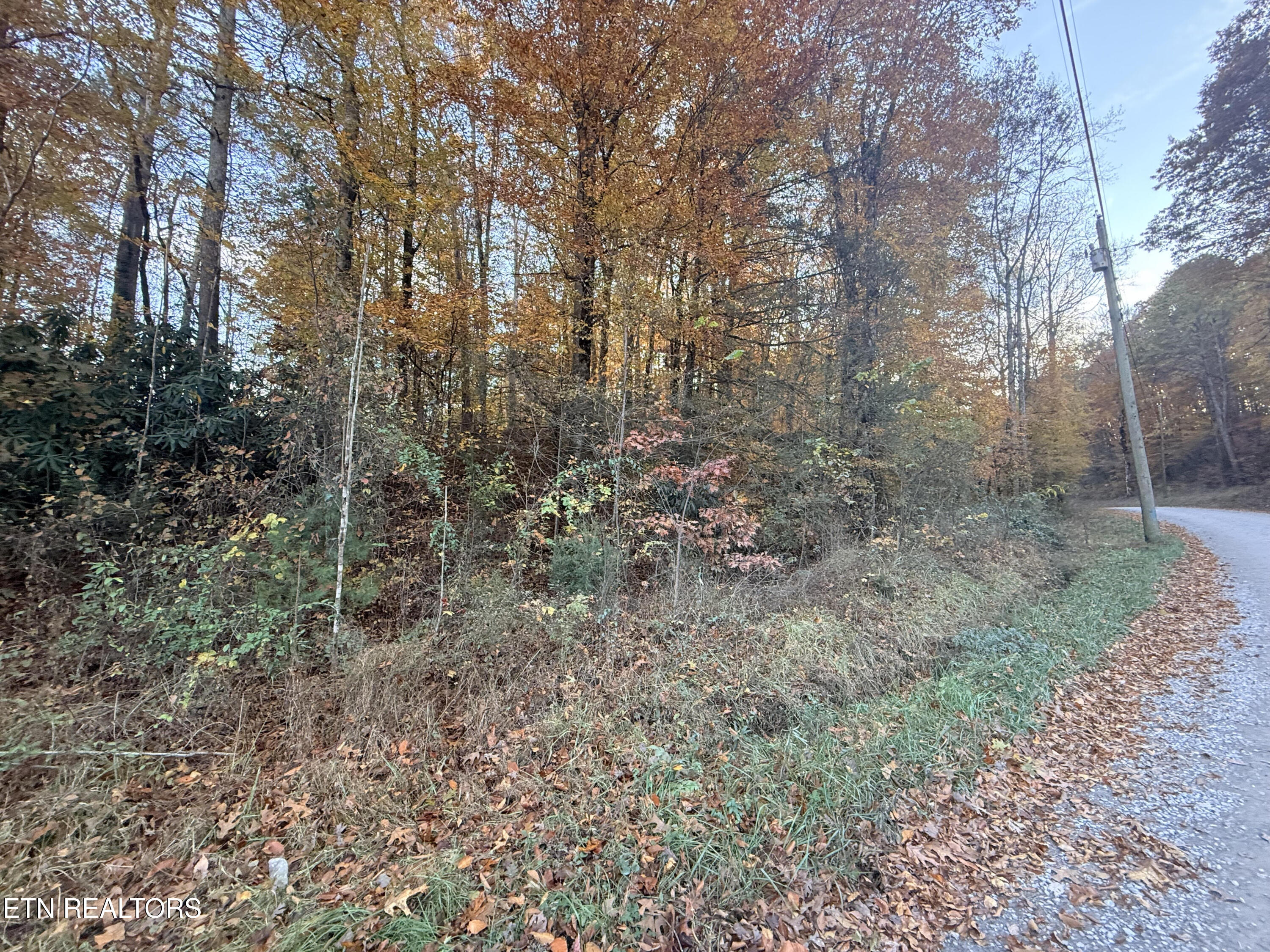 Lot 42-43 Deerfoot Road Cosby, TN 37722 - Photo 7 of 7 unnamed