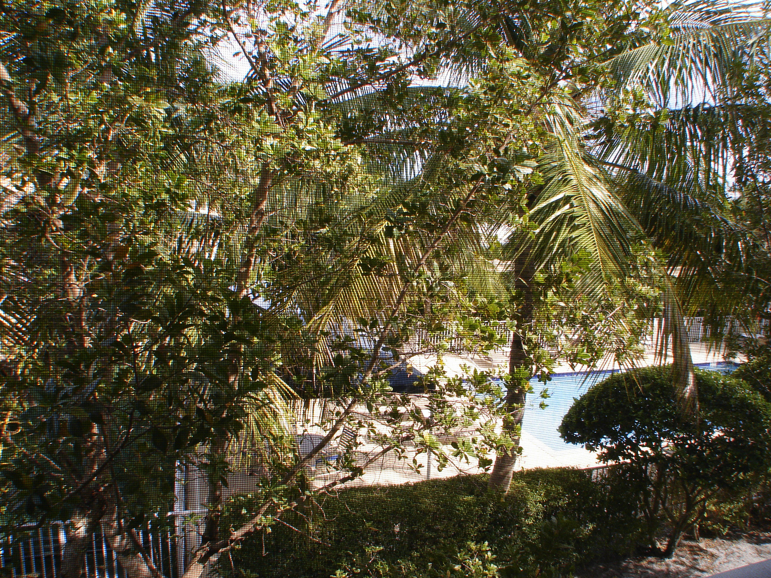 112 Lighthouse Circle, Unit B Jupiter, FL 33469 - Photo 16 of 22 Balcony View
