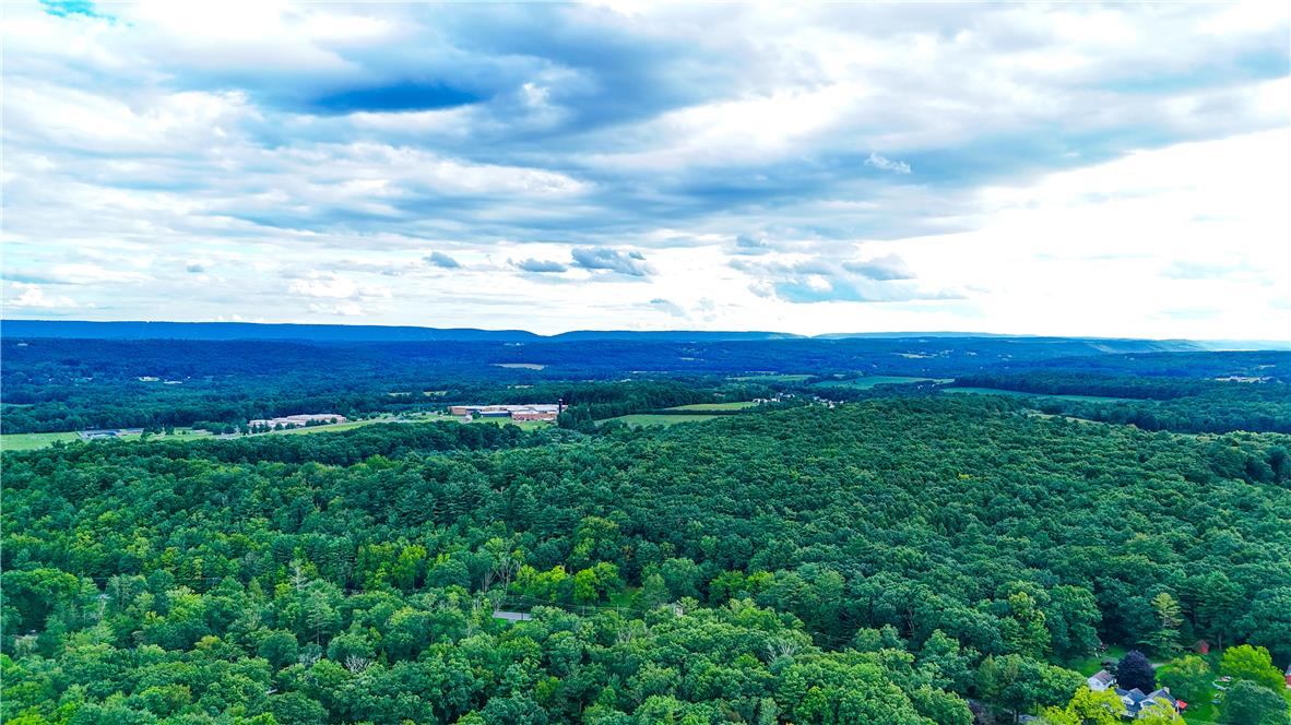 A scenic overlook reveals a dense forest canopy rolling toward distant mountain ridges.