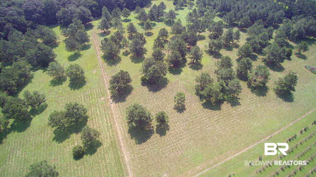 27608 County Road 65 Loxley, AL 36551 - Photo 22 of 32 Aerial East boundary