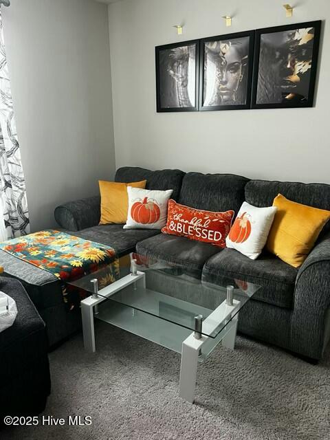 4502 Bushell Court Ayden, NC 28513 - Photo 8 of 15 IMG_6228