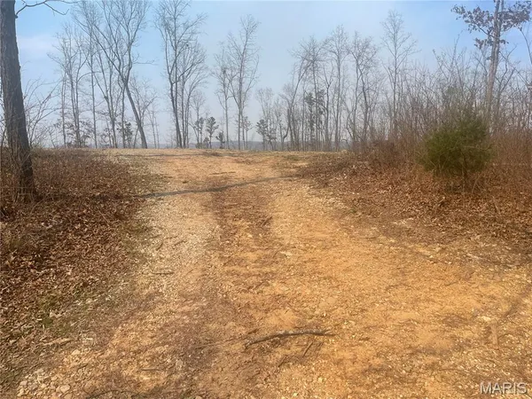 $112,000 | 0 Wayne County Road 410, Williamsville, MO 63967