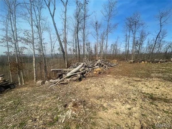 $112,000 | 0 Wayne County Road 410, Williamsville, MO 63967