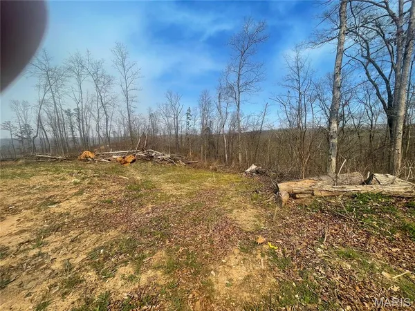 $112,000 | 0 Wayne County Road 410, Williamsville, MO 63967