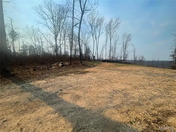 $112,000 | 0 Wayne County Road 410, Williamsville, MO 63967