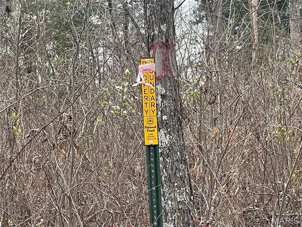 $112,000 | 0 Wayne County Road 410, Williamsville, MO 63967