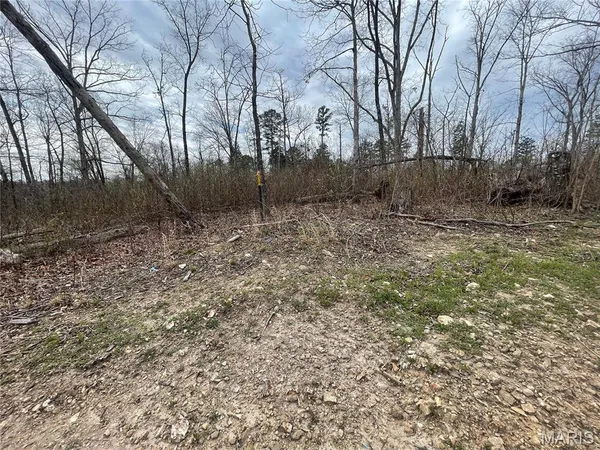 $112,000 | 0 Wayne County Road 410, Williamsville, MO 63967