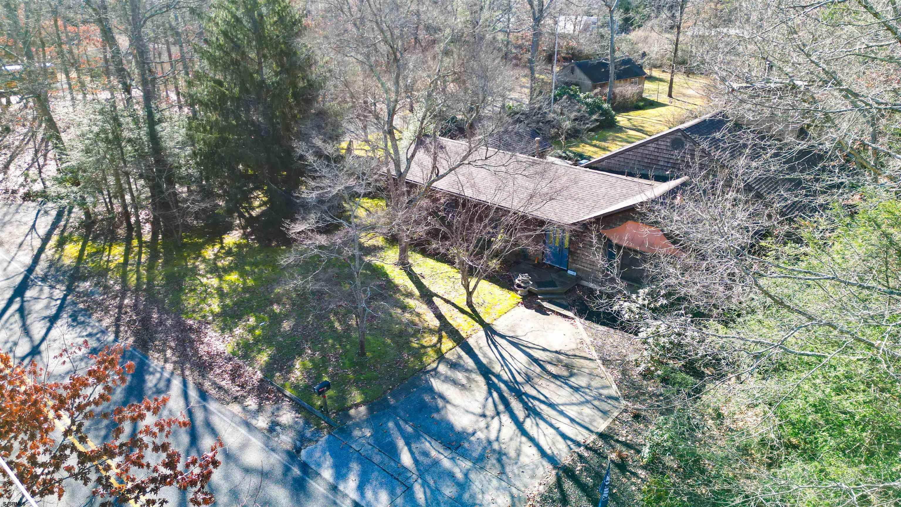 3 School House Road Egg Harbor Township, NJ 08234 - Photo 46 of 56 a picture of a tree