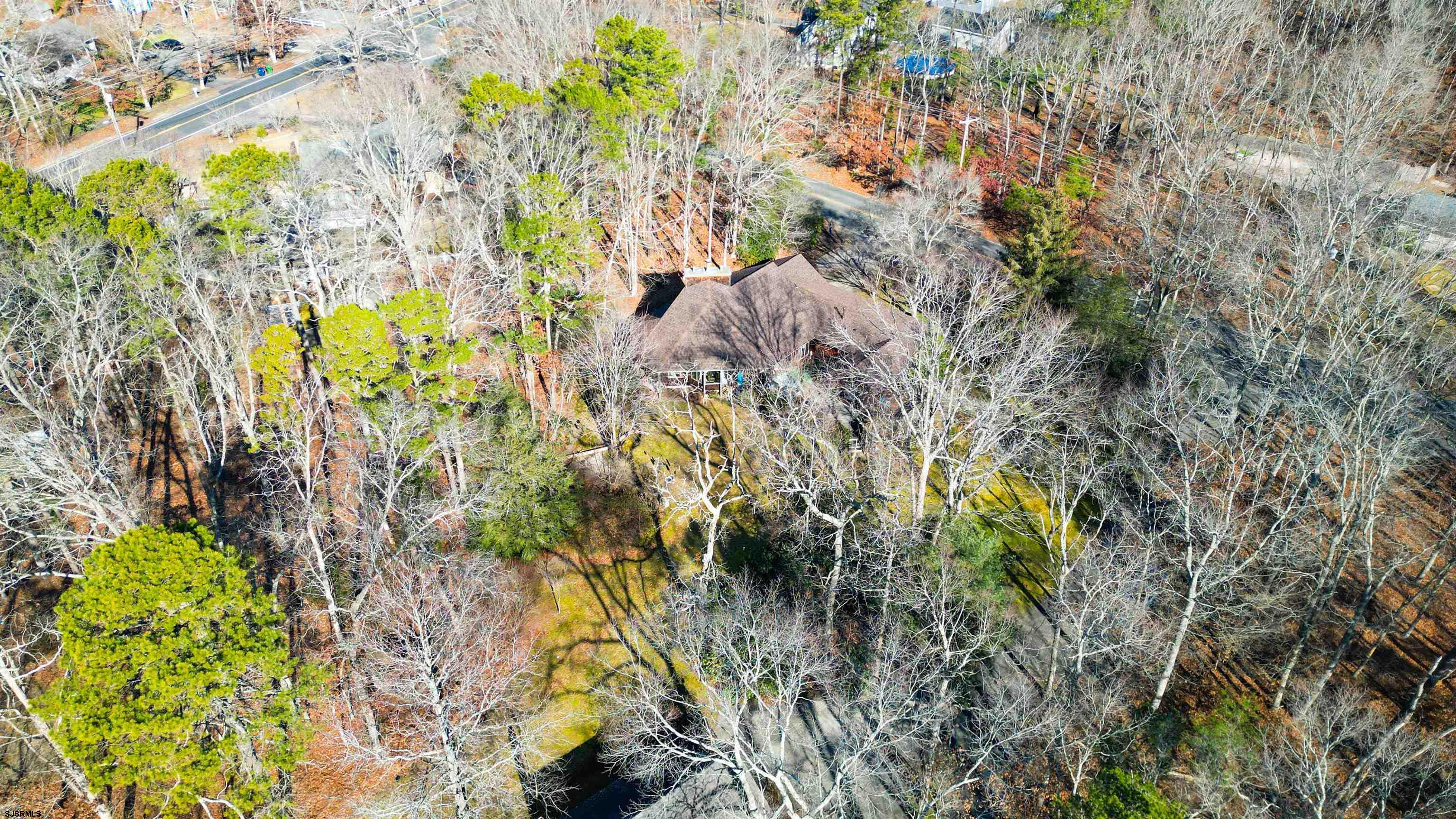 3 School House Road Egg Harbor Township, NJ 08234 - Photo 50 of 56 a view of flowers in the garden