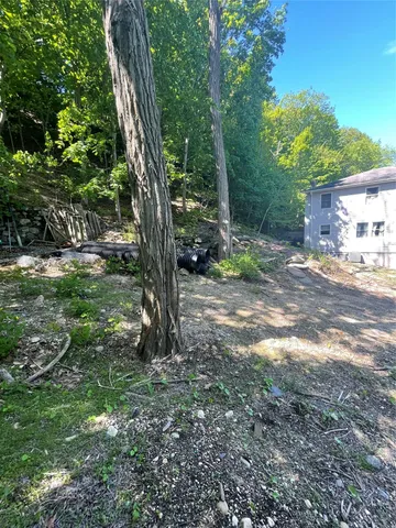 a backyard of a house with lots of green space