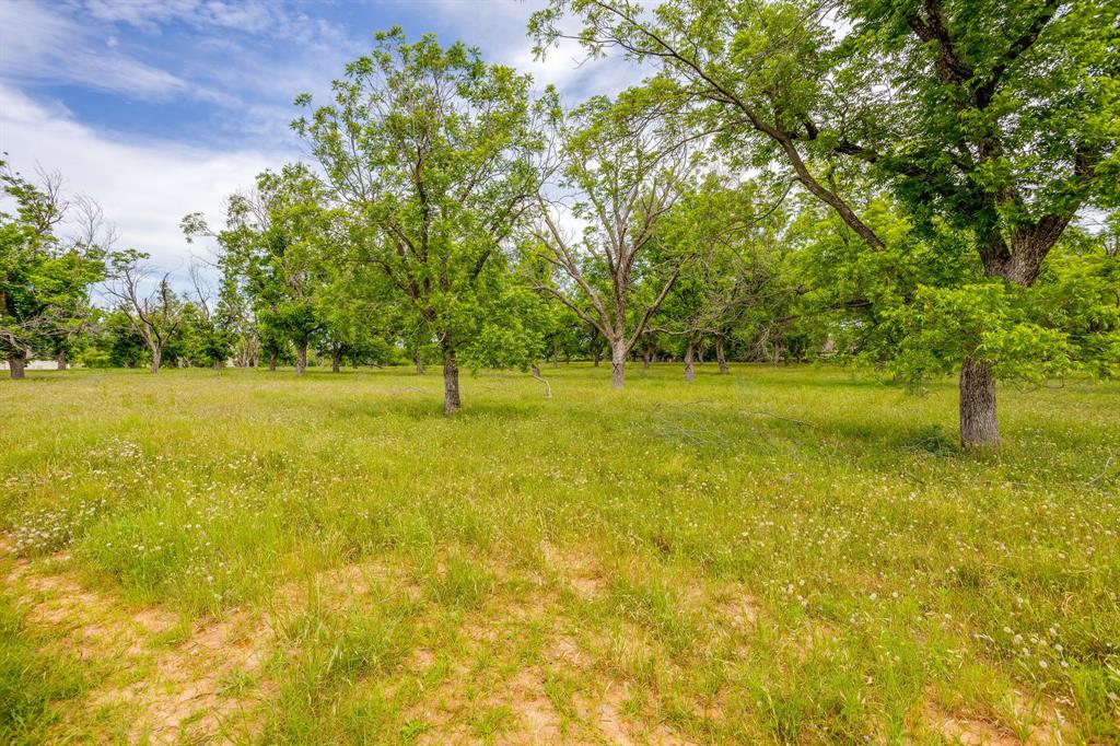 1000 West Landings Road North Granbury, TX 76049 - Photo 20 of 20