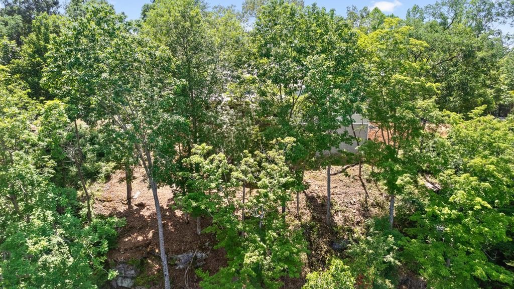 300 Chandler Road Doyle, TN 38559 - Photo 74 of 81