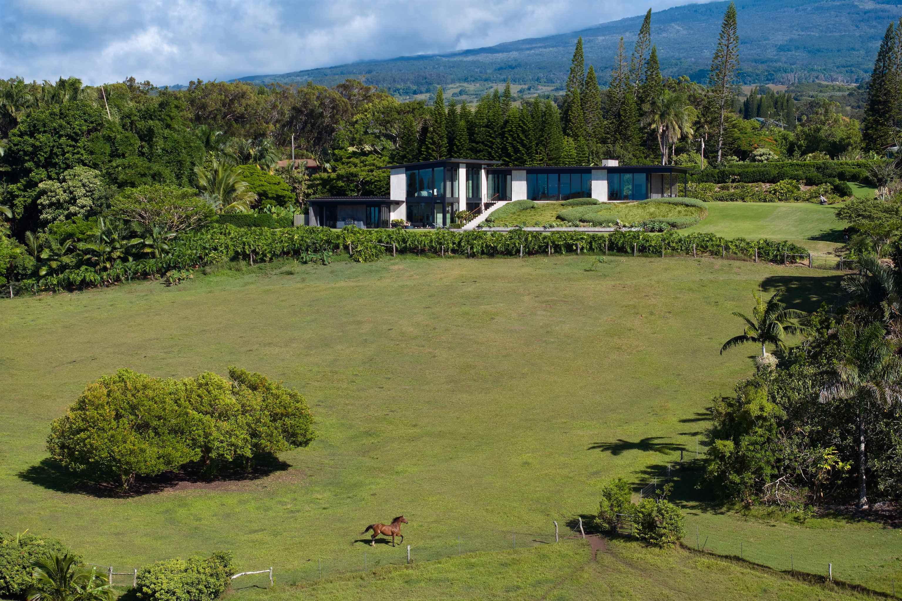 1642 West Kuiaha Road Haiku, HI 96708 - Photo 39 of 50 a view of a lake with a building in the background