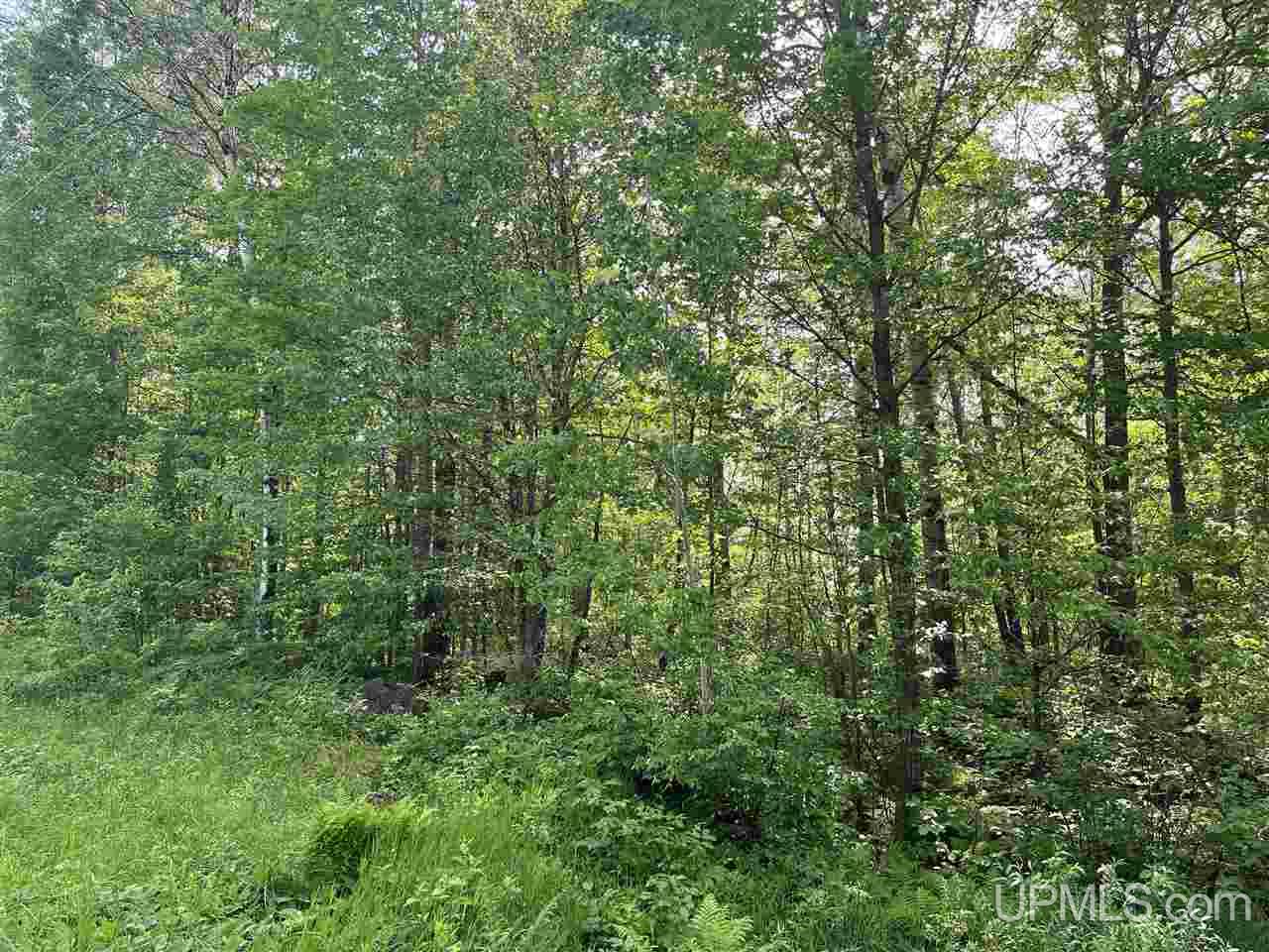 Tbd Range View Ironwood, WI 49938 - Photo 8 of 12
