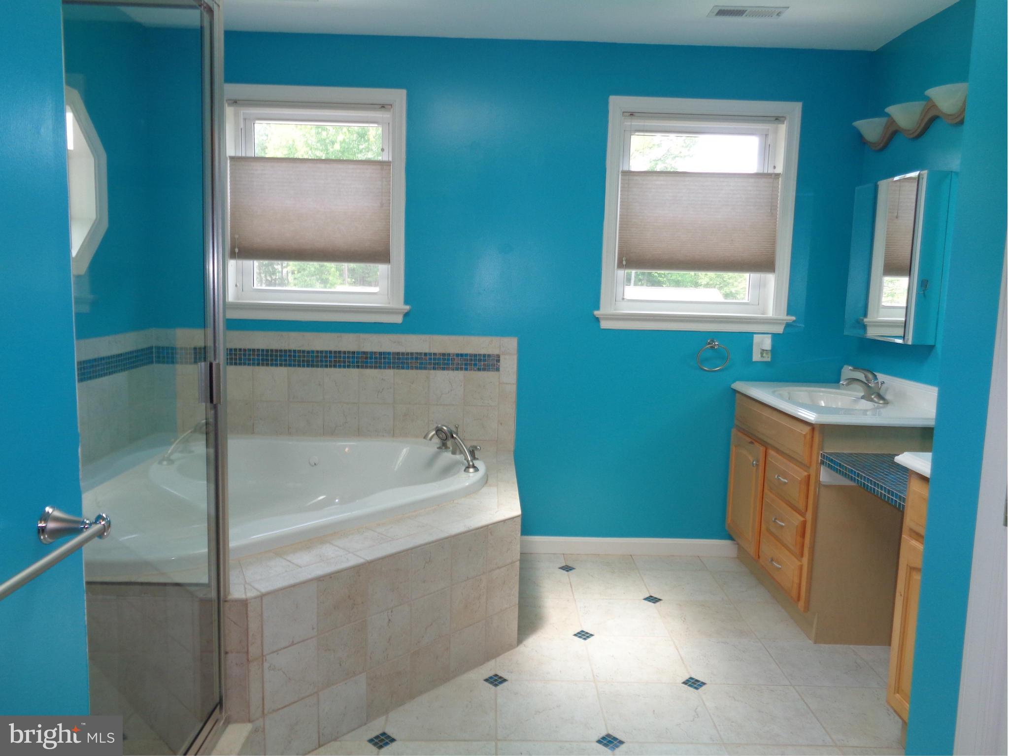 1113 Cedar Creek Road Baltimore, MD 21221 - Photo 16 of 28 SEPARATE DOUBLE MASTER BATH SINKS