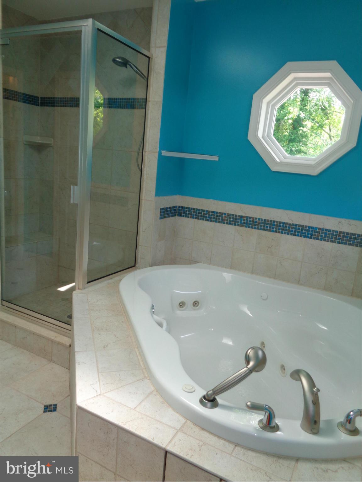 1113 Cedar Creek Road Baltimore, MD 21221 - Photo 17 of 28 SEPARATE SHOWER AND JETTED TUB