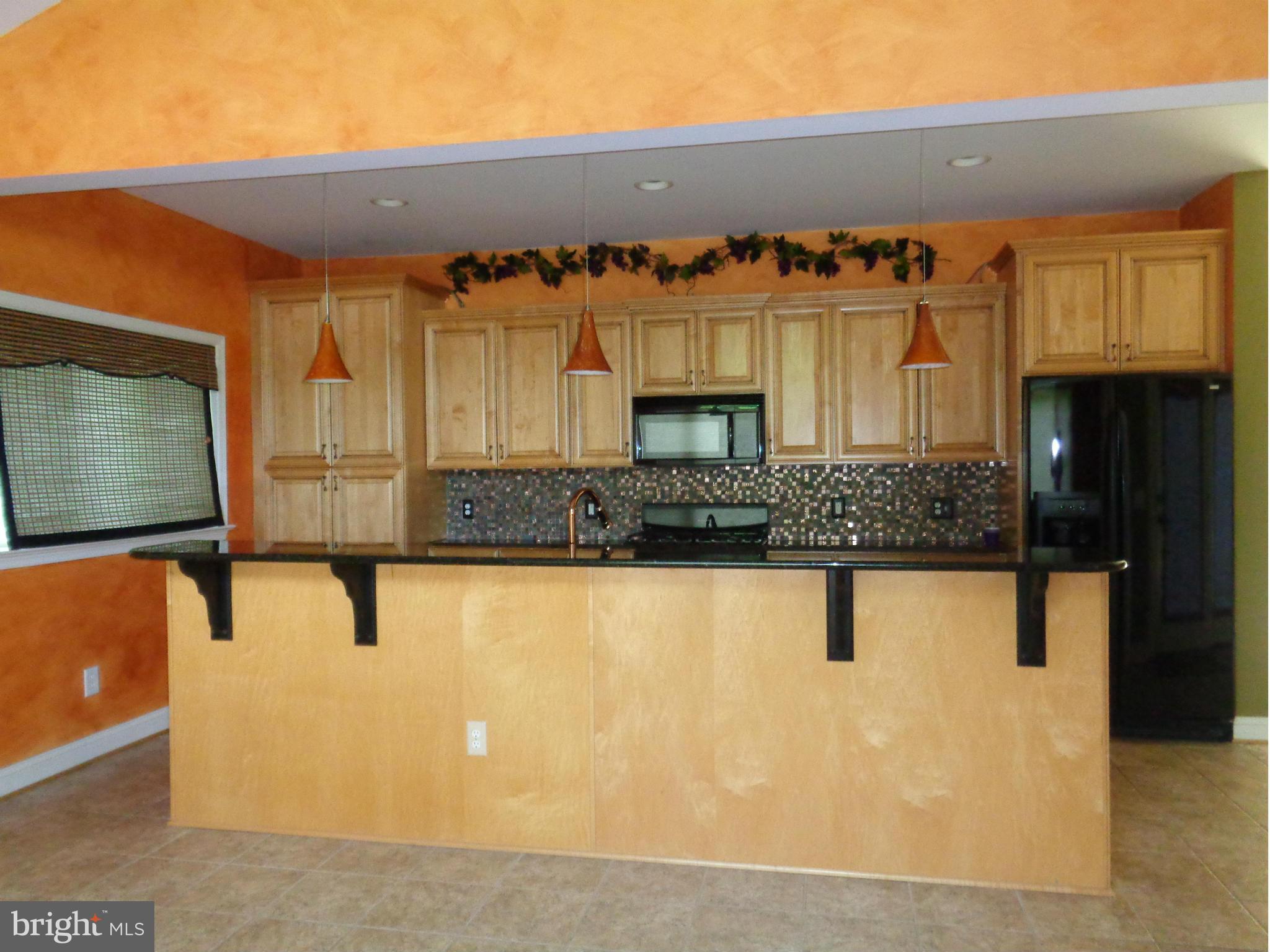 1113 Cedar Creek Road Baltimore, MD 21221 - Photo 7 of 28 BEAUTIFUL GRANITE AND GLASS BLOCK SPLASH