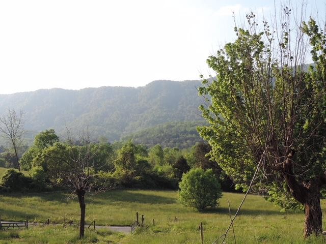 2575 Rackum Road Thorn Hill, TN 37881 - Photo 16 of 34 Gallery Image 16