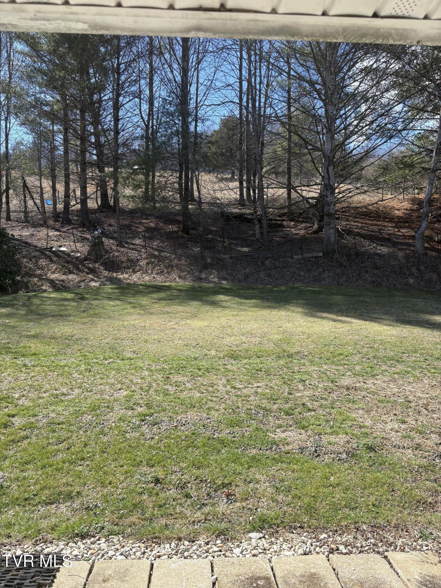 1820 Pine Orchard Road Butler, TN 37640 - Photo 30 of 35 IMG_0308
