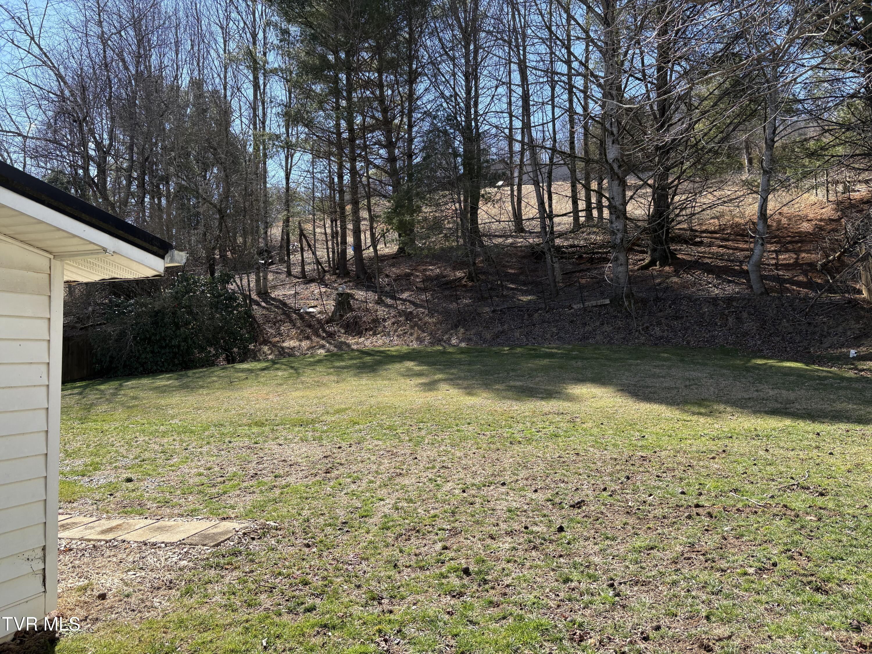 1820 Pine Orchard Road Butler, TN 37640 - Photo 34 of 35 IMG_0312