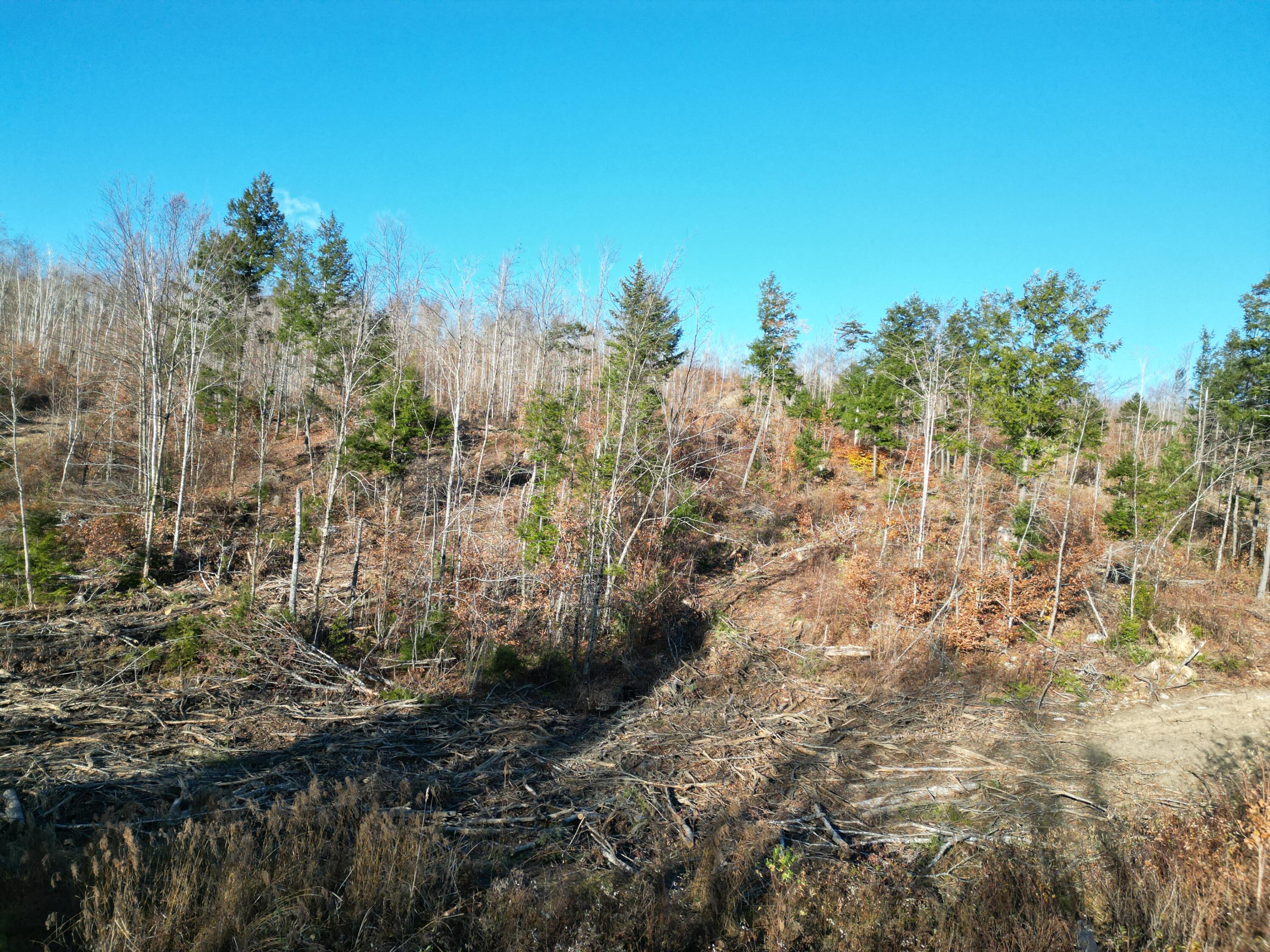 Lot 12 Ghost Road Springfield, ME 04487 - Photo 8 of 16 DJI_0910