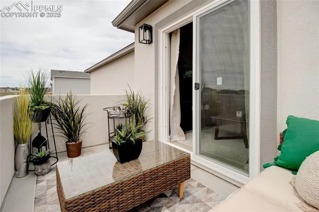 a potted plant sitting on the side of a glass door