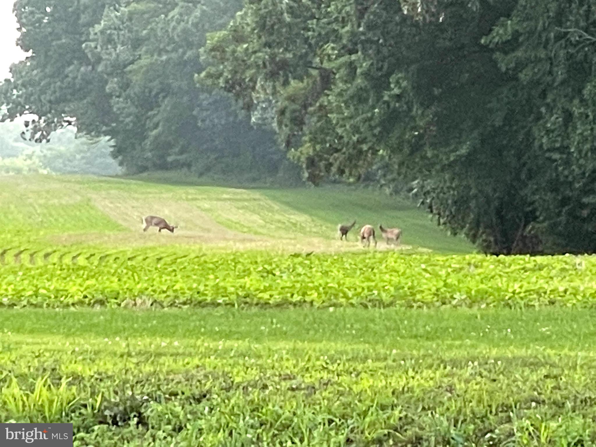 2378 Grandview Road Hanover, PA 17331 - Photo 28 of 32