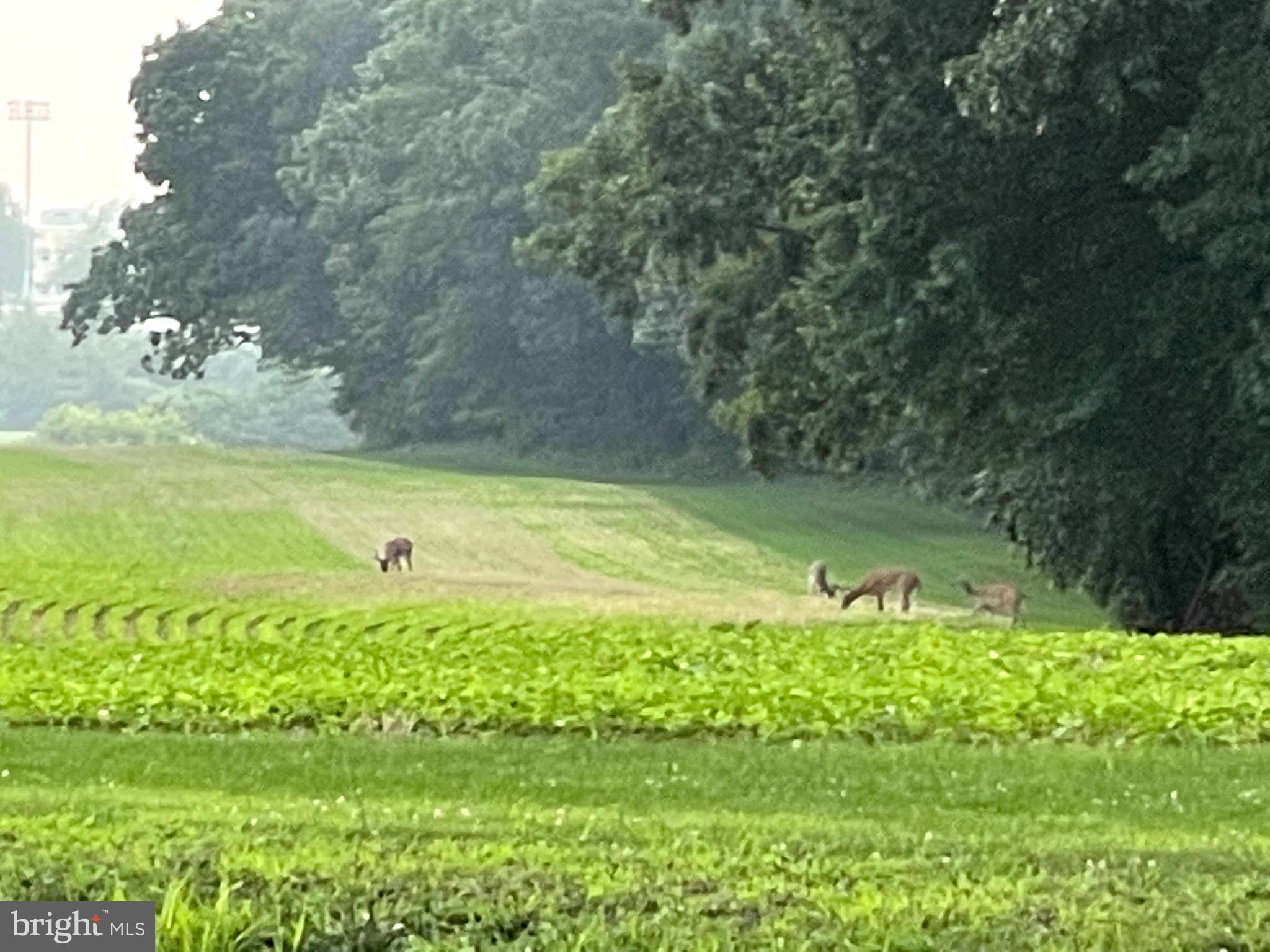 2378 Grandview Road Hanover, PA 17331 - Photo 29 of 32