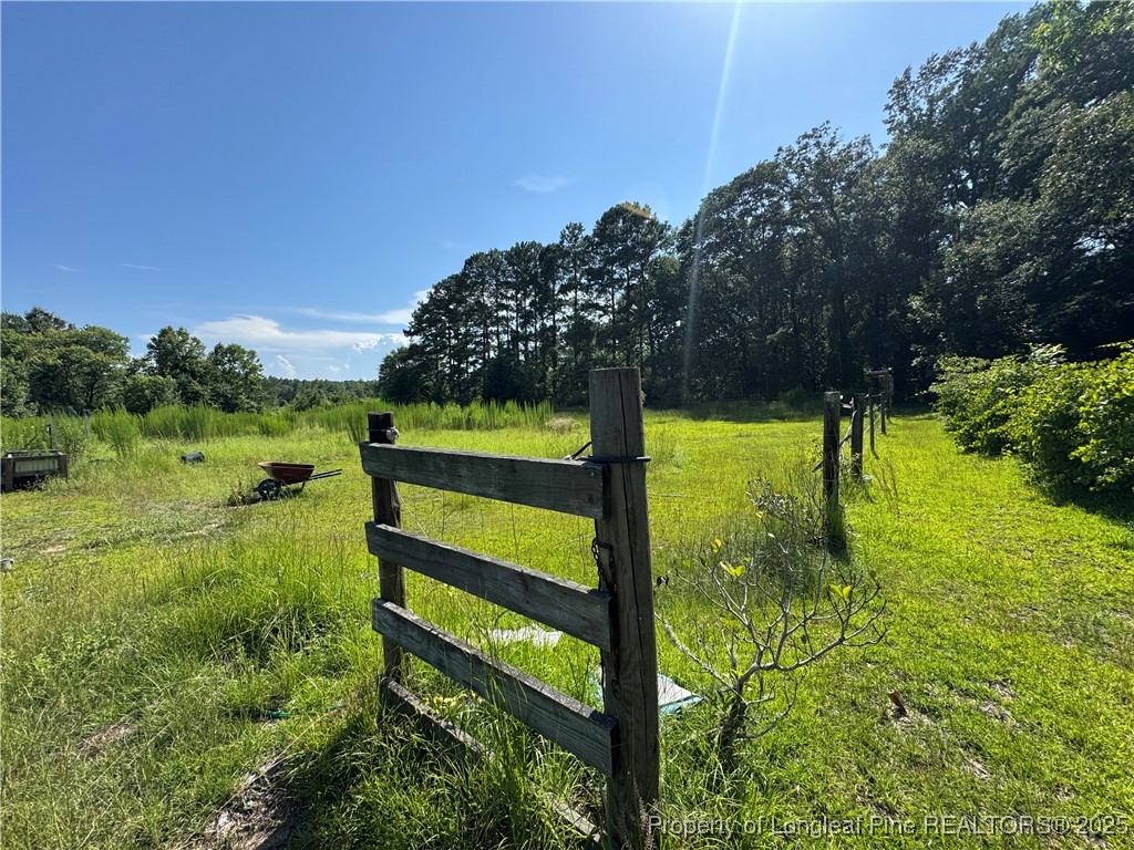 4199 Munsey Road Fayetteville, NC 28306 - Photo 21 of 24 a view of outdoor space and garden