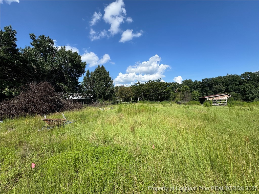 4199 Munsey Road Fayetteville, NC 28306 - Photo 23 of 24 a view of a lake from a yard