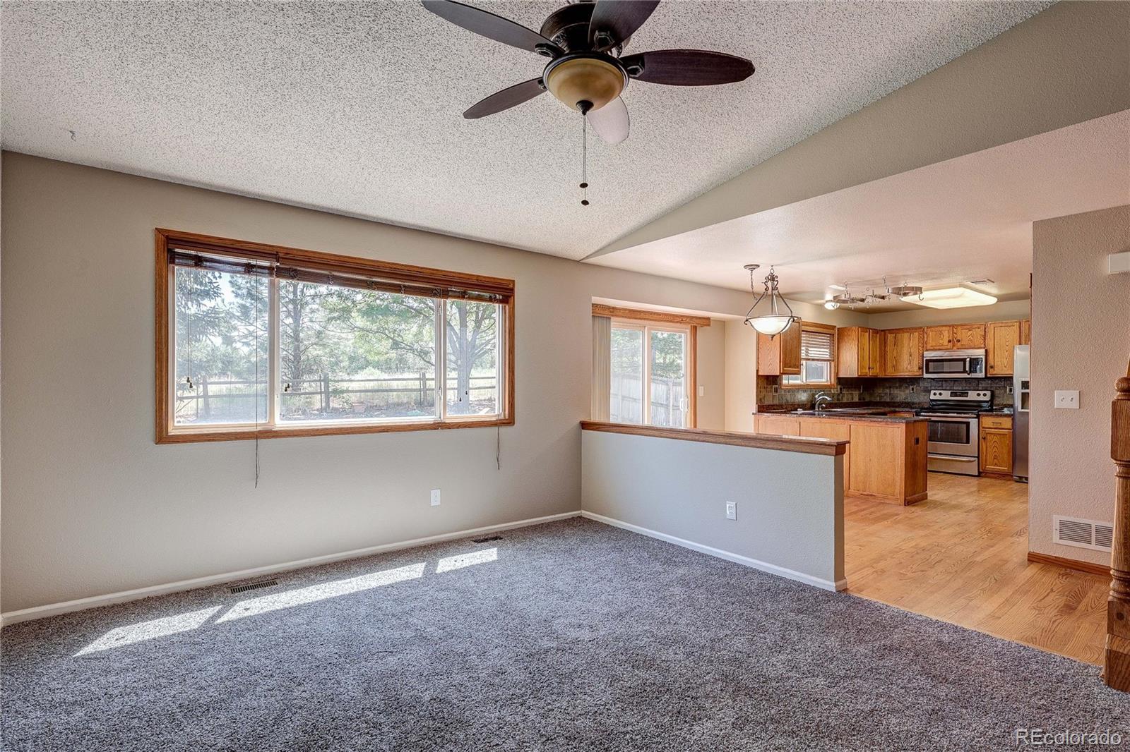 11176 Rodeo Circle Parker, CO 80138 - Photo 7 of 35