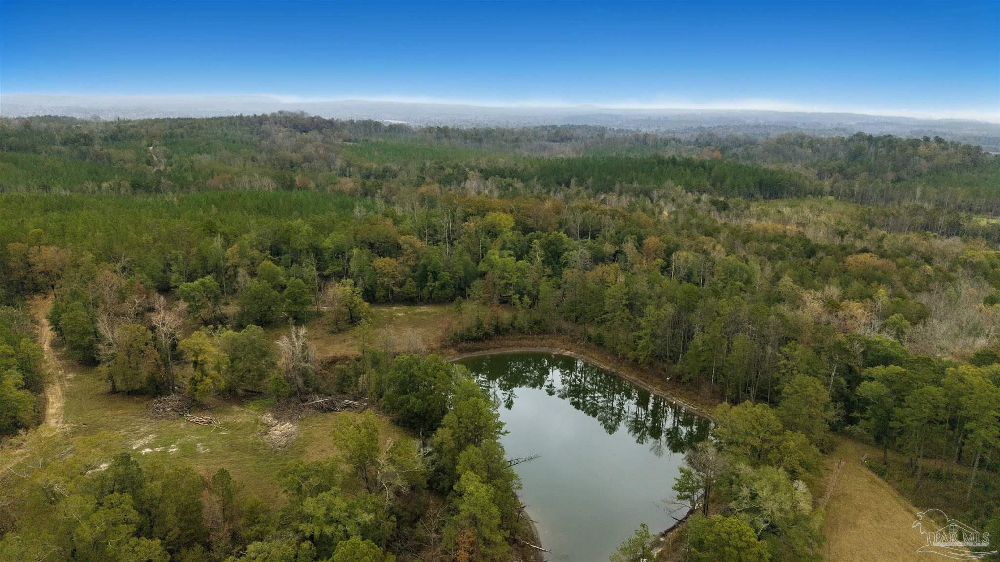 9023 County Road Millry, AL 36558 - Photo 32 of 72