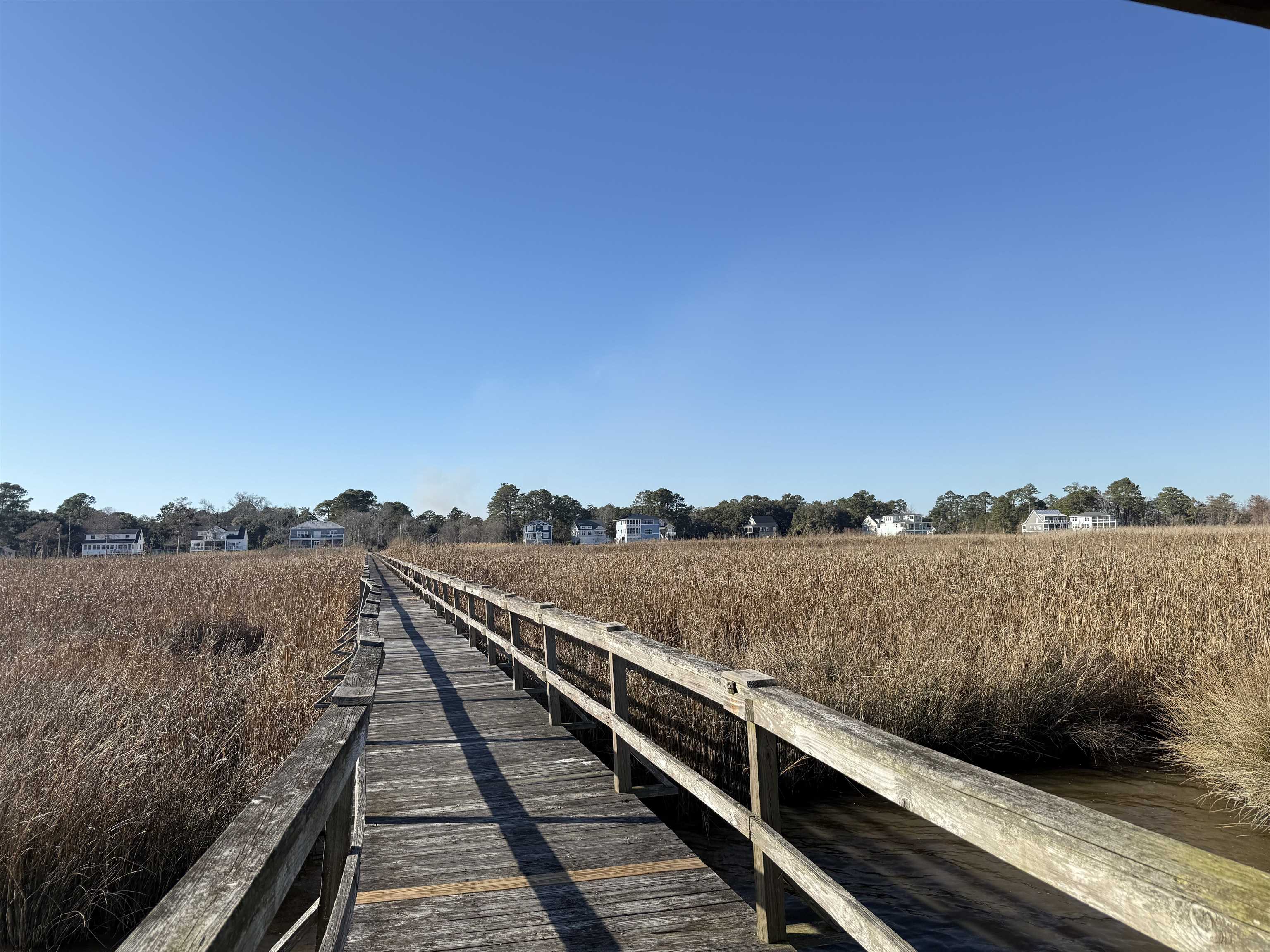 46 Oak Bay Drive Georgetown, SC 29440 - Photo 2 of 13