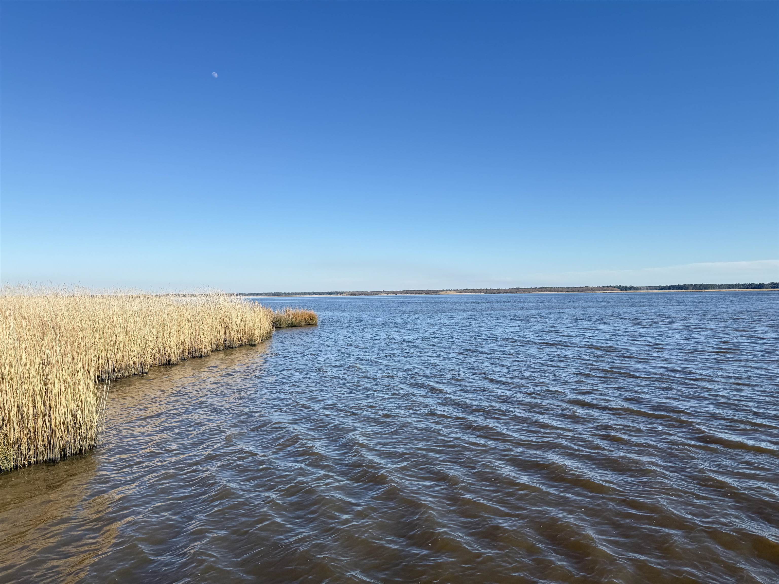 46 Oak Bay Drive Georgetown, SC 29440 - Photo 3 of 13