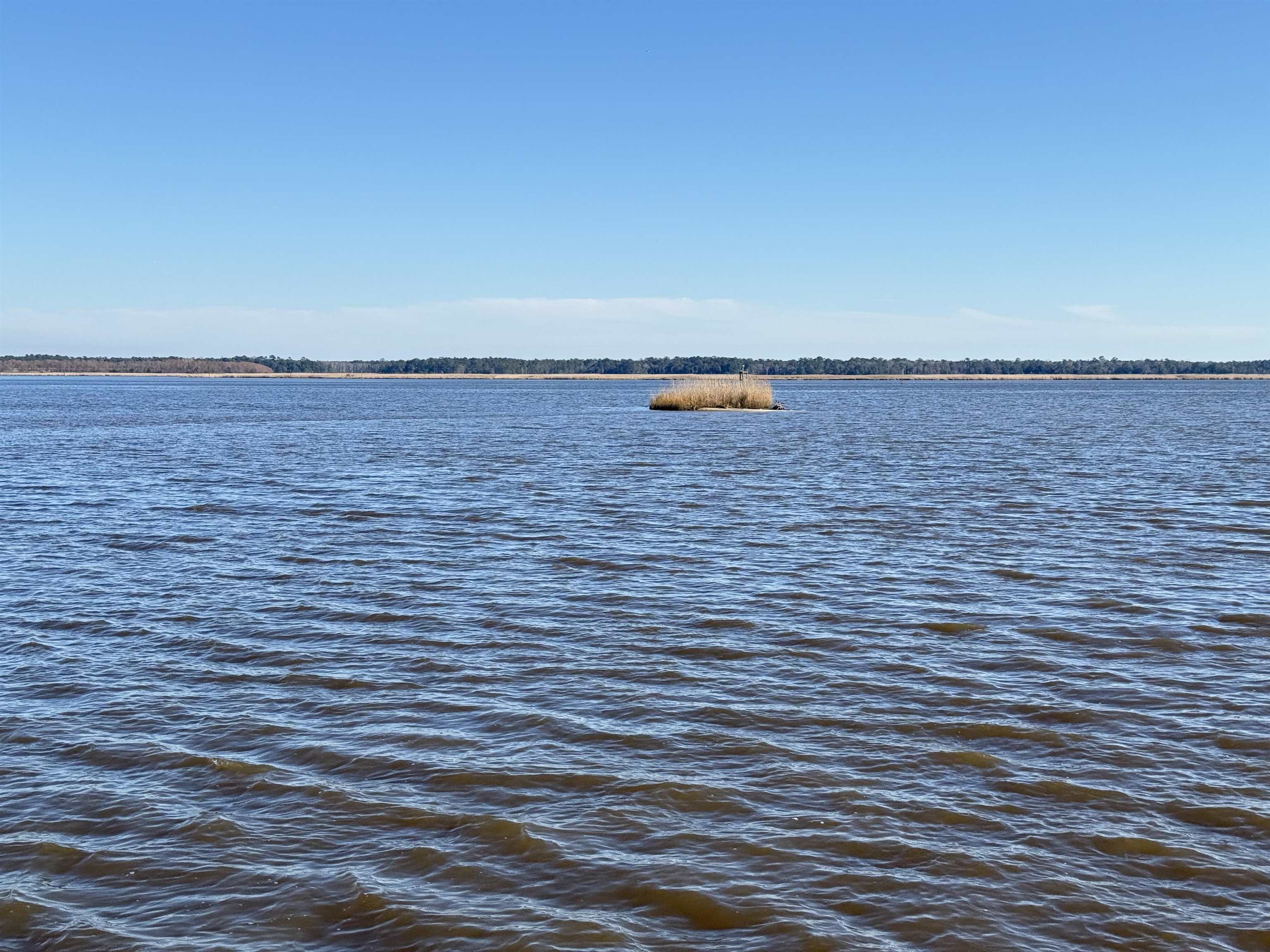 46 Oak Bay Drive Georgetown, SC 29440 - Photo 4 of 13