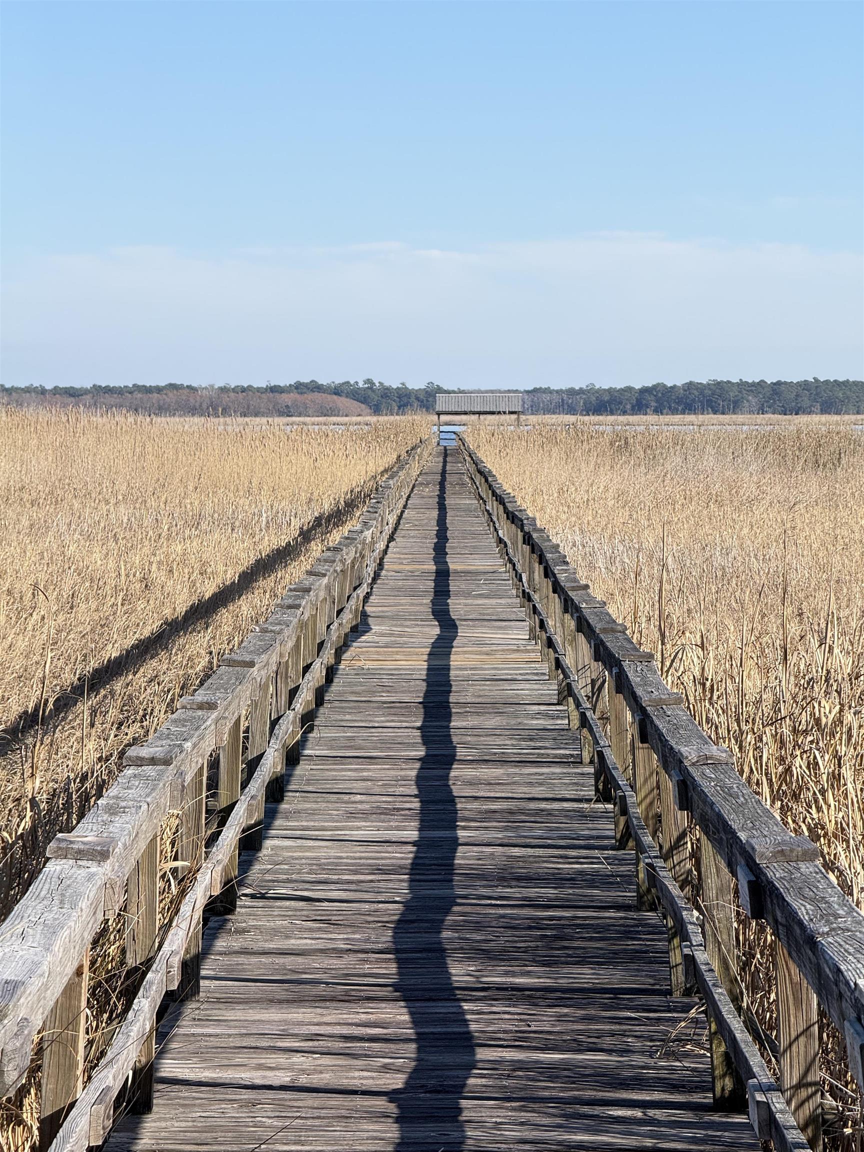 46 Oak Bay Drive Georgetown, SC 29440 - Photo 8 of 13