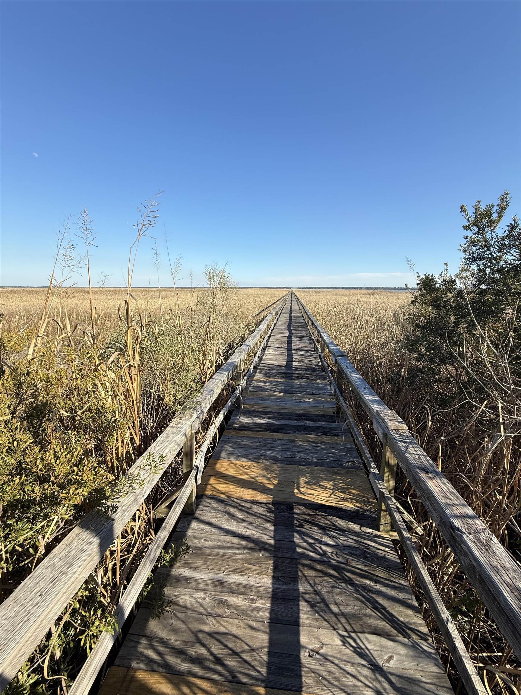 46 Oak Bay Drive Georgetown, SC 29440 - Photo 10 of 13