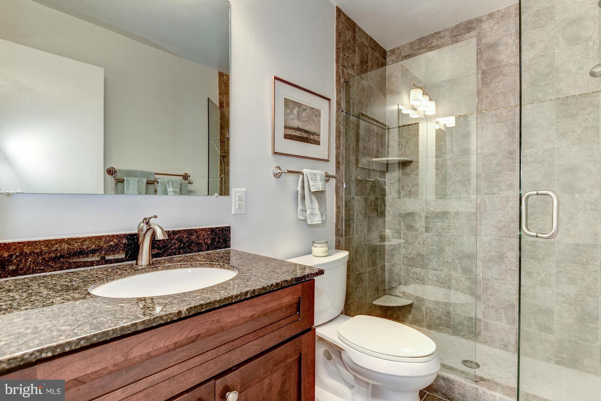 3901 Chain Bridge Road Fairfax, VA 22030 - Photo 17 of 30 Bath (Master)