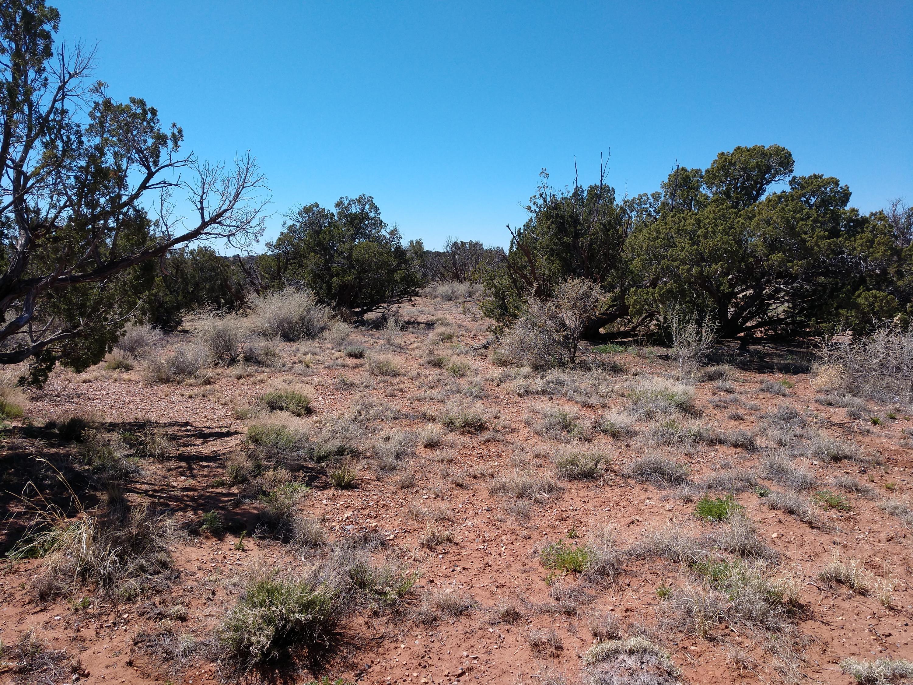 5245 Hay Hollow Road Snowflake, AZ 85937 - Photo 1 of 42