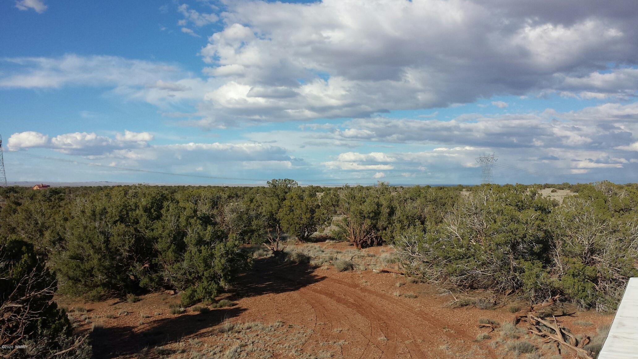 5245 Hay Hollow Road Snowflake, AZ 85937 - Photo 12 of 42