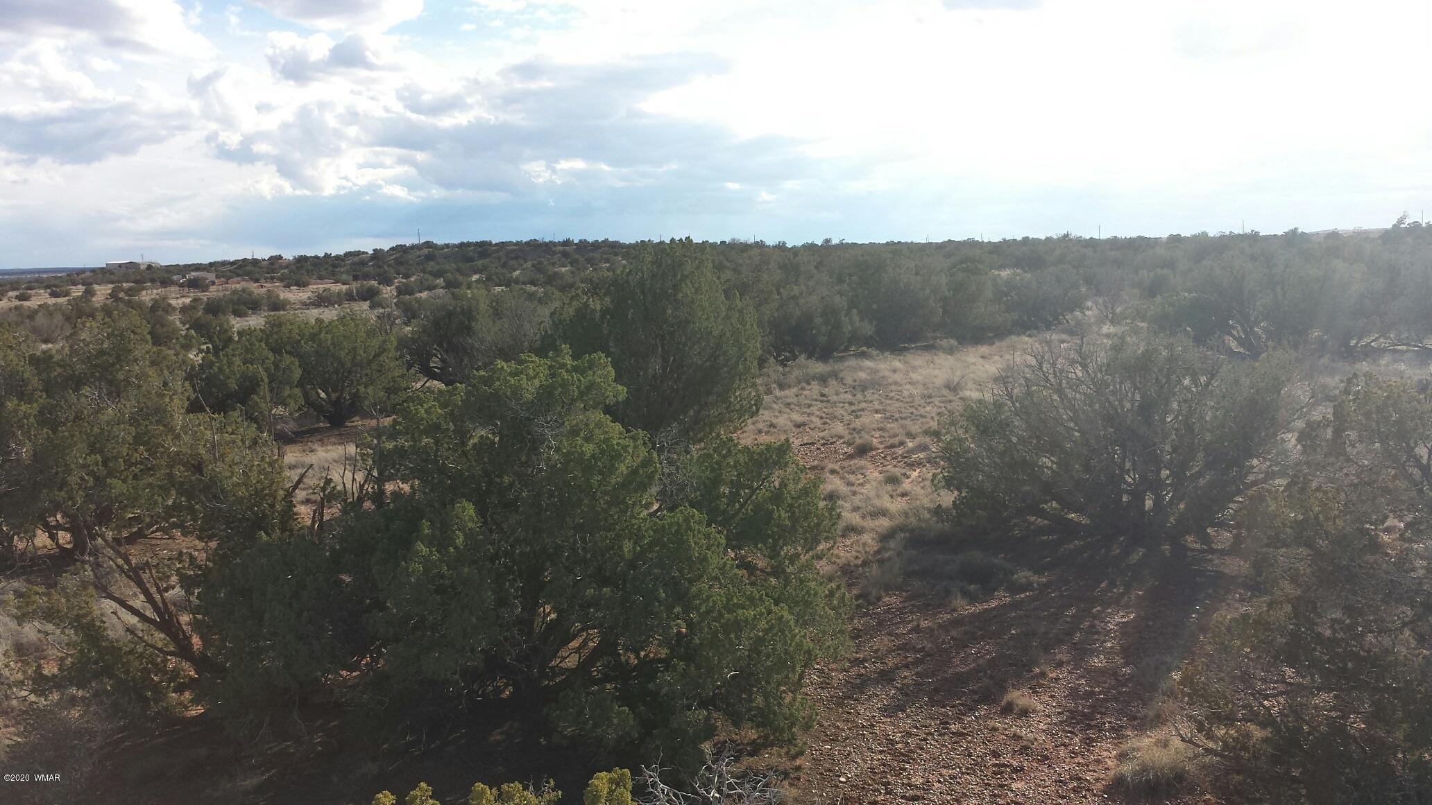 5245 Hay Hollow Road Snowflake, AZ 85937 - Photo 13 of 42