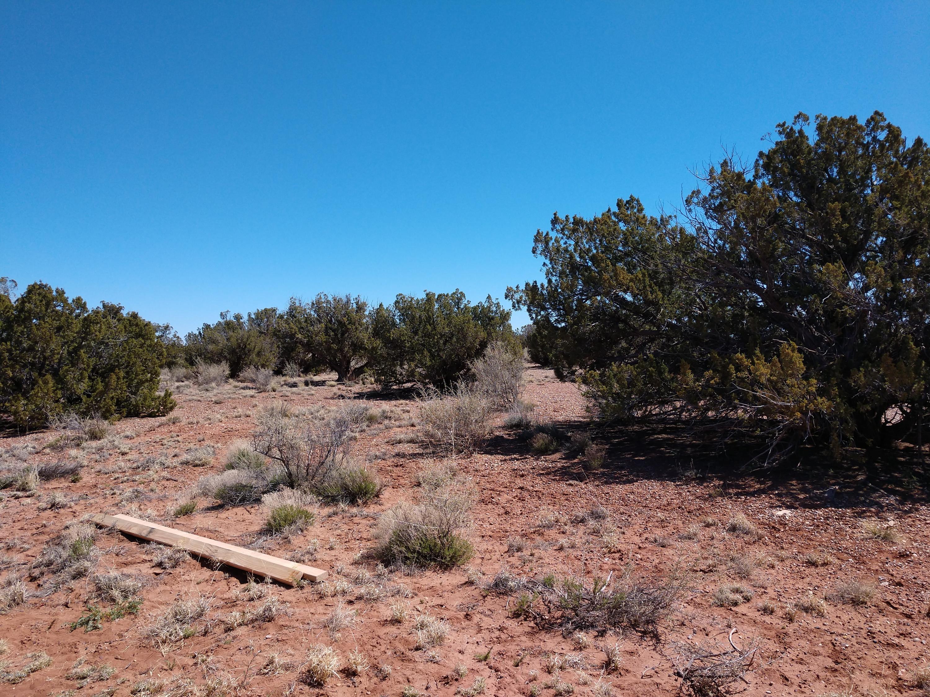 5245 Hay Hollow Road Snowflake, AZ 85937 - Photo 3 of 42